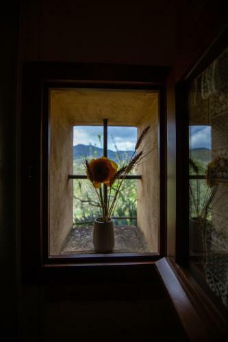 Villa Collina Dei Fiori