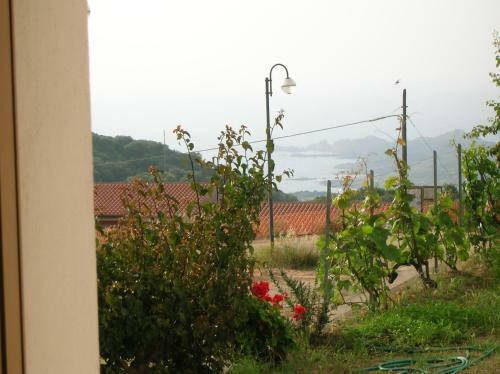 Casa Vacanza Isola Rossa