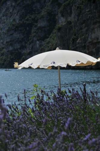 Bed & Breakfast Torre Degli Ulivi