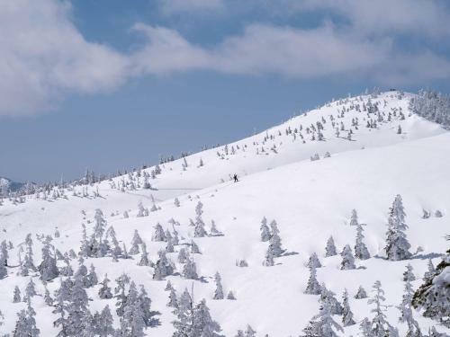 Apartamento Angel Resort Yuzawa 715