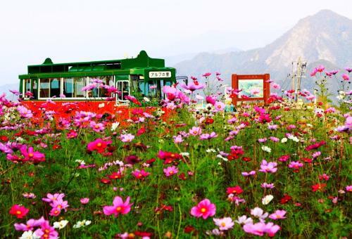 Apartamento Angel Resort Yuzawa 715