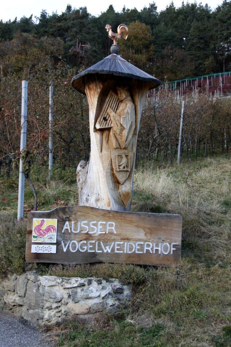 Agroturismo Ausservogelweiderhof