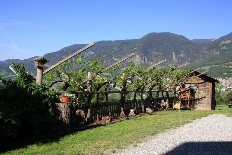 Agroturismo Ausservogelweiderhof