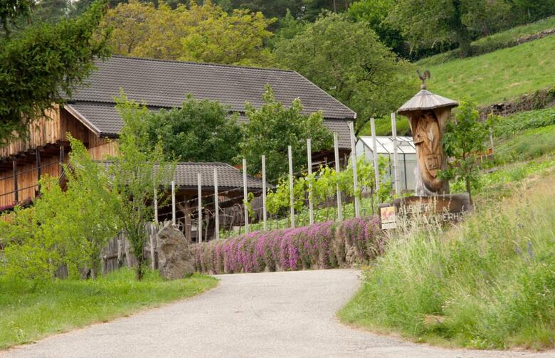 Agroturismo Ausservogelweiderhof