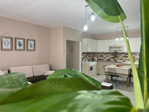 Apartamento Appartment