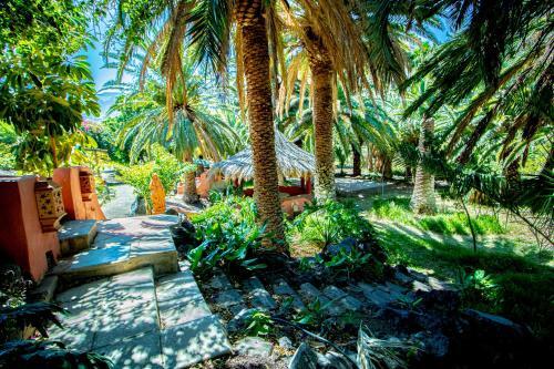 Apartamento Hibiscus Agaete Valley Hbab
