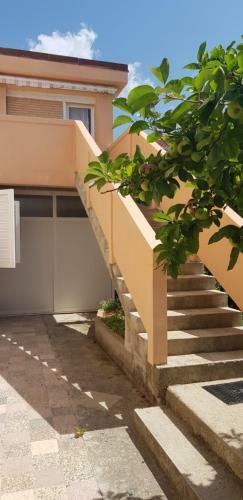 Apartments L&m