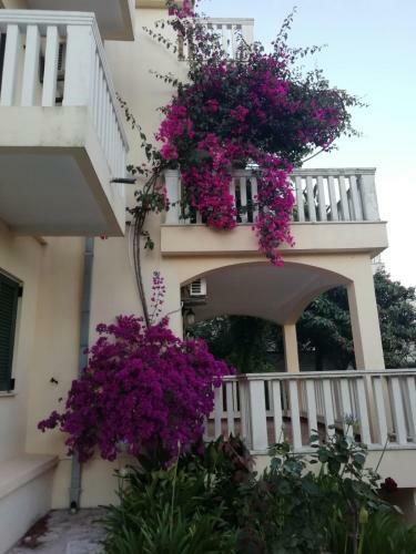 Apartamento Studio Savina