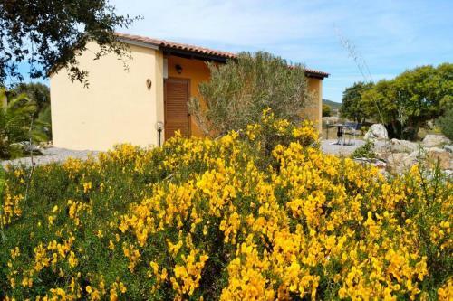 Agroturismo Agriturismo Rocce Bianche - Bungalows