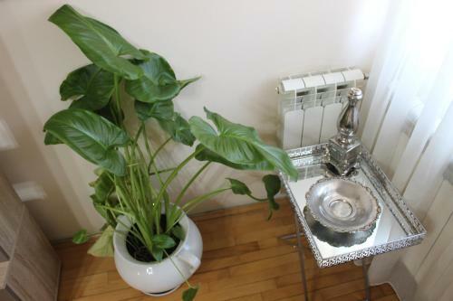 Apartamento Kaj Zone