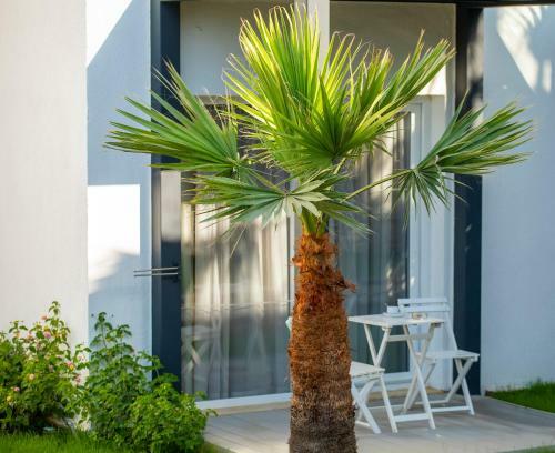 Charm Beach Hotel