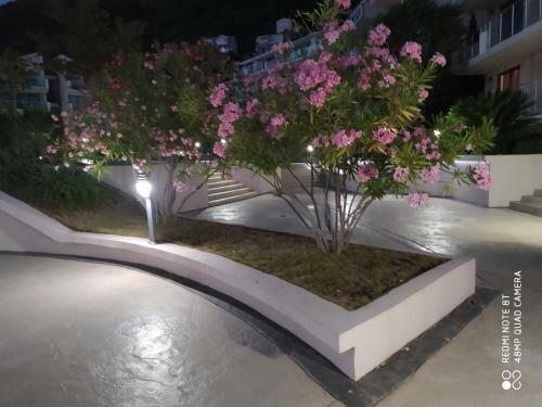 Apartment Jadran- Przno