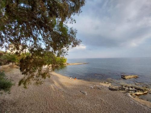 Apartamento Beach Front With Great See View Next To Incekum