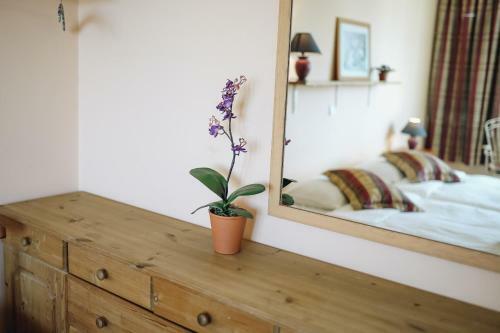 Apartamento Rustic Central Flat - Ocean View
