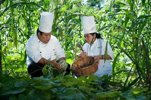 Hotel Hacienda Chichen Resort And Yaxkin Spa