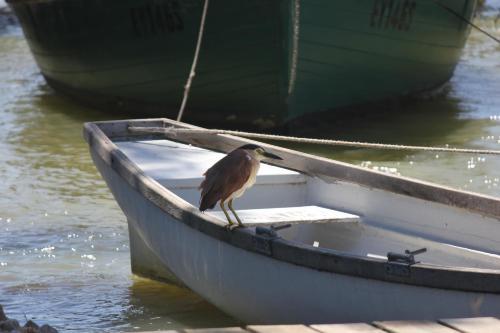 Bed & Breakfast Boathouse & Birks River Retreats