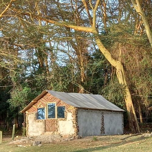 Elementaita Treehouse Camp