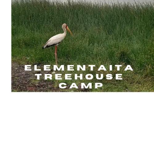 Elementaita Treehouse Camp
