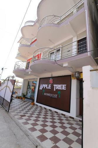 Bed & Breakfast Apple Tree
