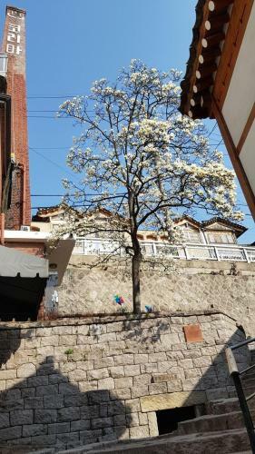 Hostal Samcheongdong Korea Guesthouse