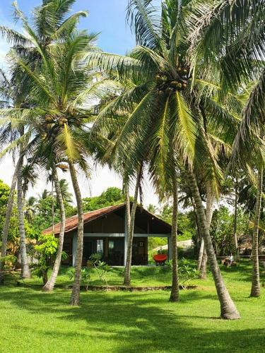 Ocean Cottage - Sea