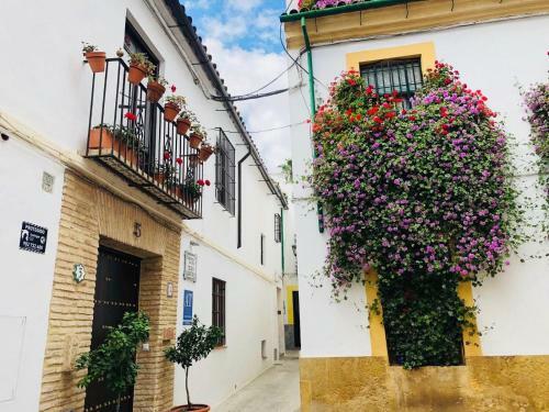 Apartamento Medina Qurtuba