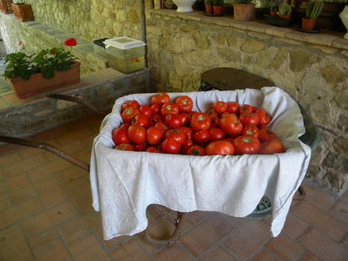 Agroturismo Giunasco