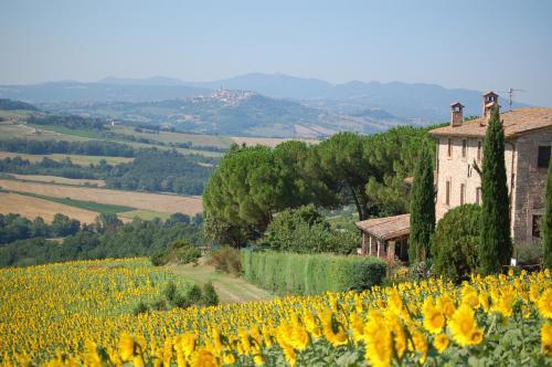 Agroturismo Agriturismo Casale Dei Frontini