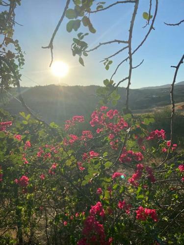 Casa Primavera - A Little Piece Of Paradise.