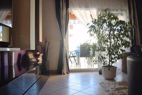 Apartman Ella