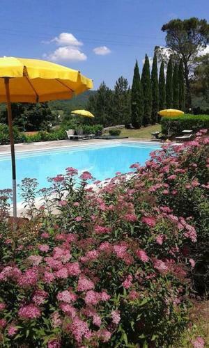Apartamento La Casina Di Tina