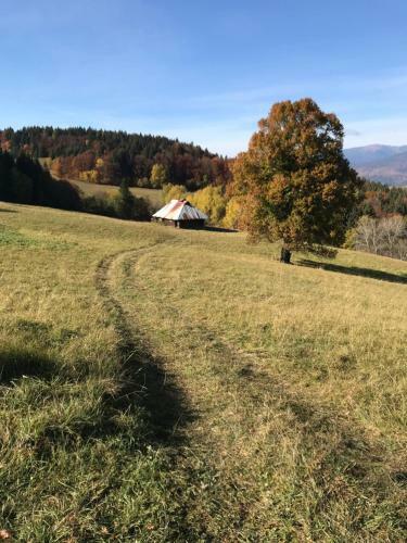 Apartm�n Anna