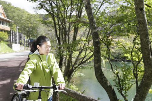 Lodge Forest Inn Sangoro