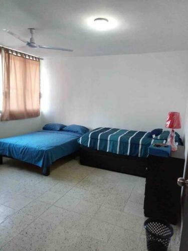 Apartamento Amplio Departamento En Centro Hist�rico, 3 Hab