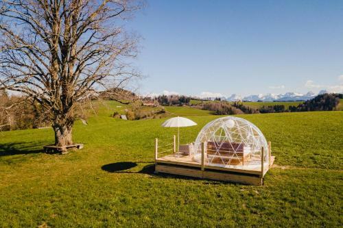 Adventurly Bubble-suite Mit 360 Grad Alpen-panorama