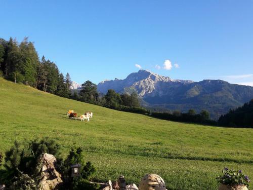 Apartamento G�stehaus L�rcheck Berchtesgaden Fewo Morgensonne