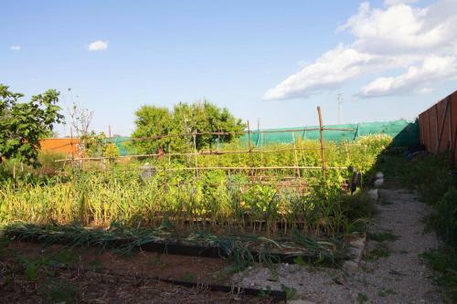 Country House With Pool, Garden And Orchard