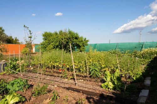 Country House With Pool, Garden And Orchard