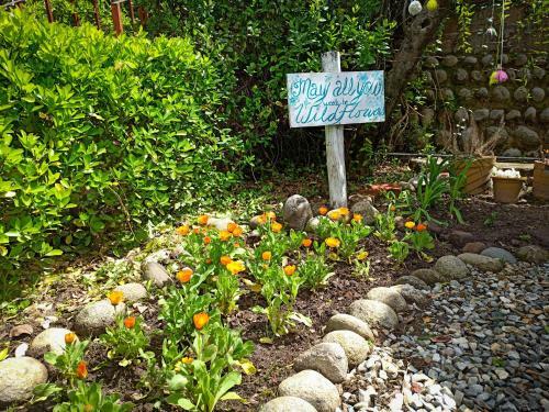 Meraki Cottages