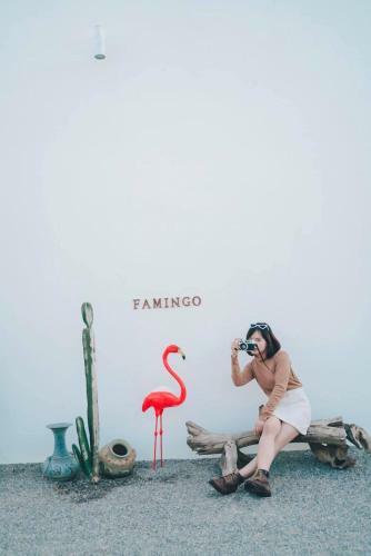 Hotel Famingo House
