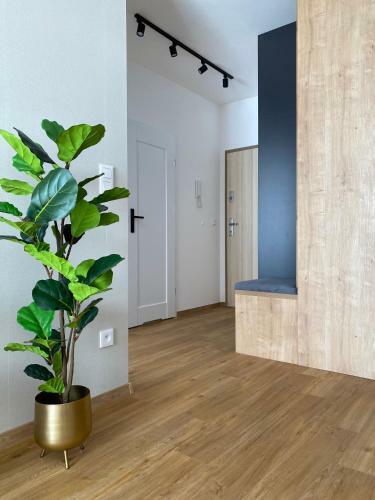 P&a Apartament