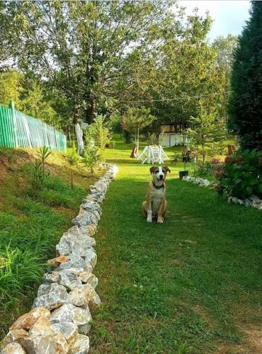 Sapanca G�l Manzaral? Do?a I�inde Huzur Tinyhouse