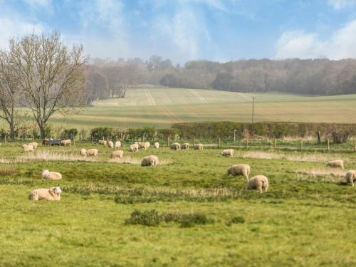 Pass The Keys Charming Country Cottage With Spectacular Views