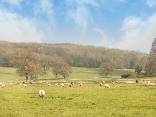 Pass The Keys Charming Country Cottage With Spectacular Views