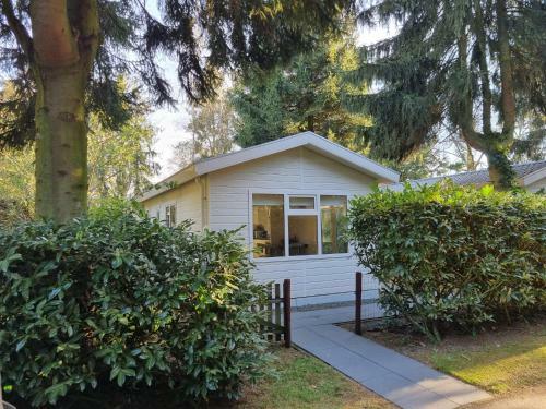 Ruim En Fris Chalet Aan de Bosrand