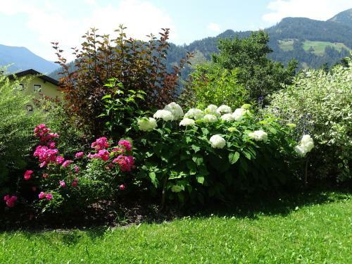 Apartamentos Appartement Sylvester