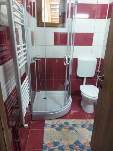 Hotel Vila Ioana