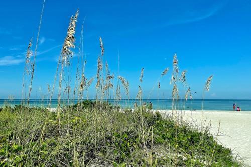 Barefoot Beach Resort A209