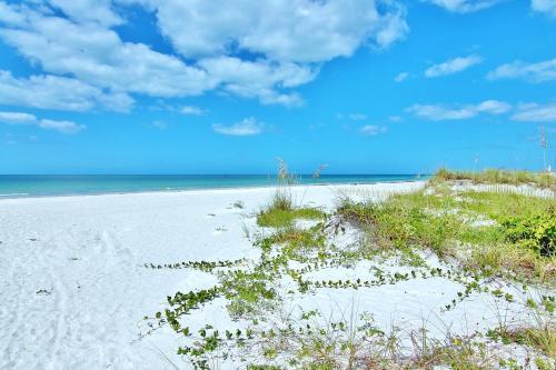 Water View 504