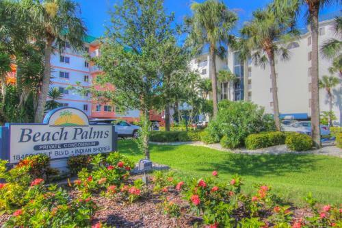 Beach Palms 508